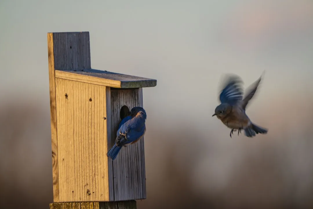 #3 Ignoring Predator and Competitor Protection (Image Credits: Unsplash)