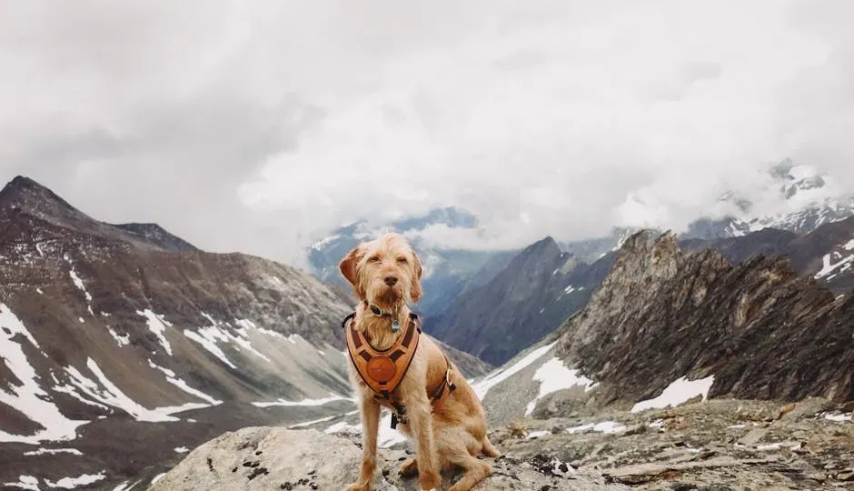 Sagittarius (November 22 – December 21): The Happy-Go-Lucky Explorer (Image Credits: Pexels)