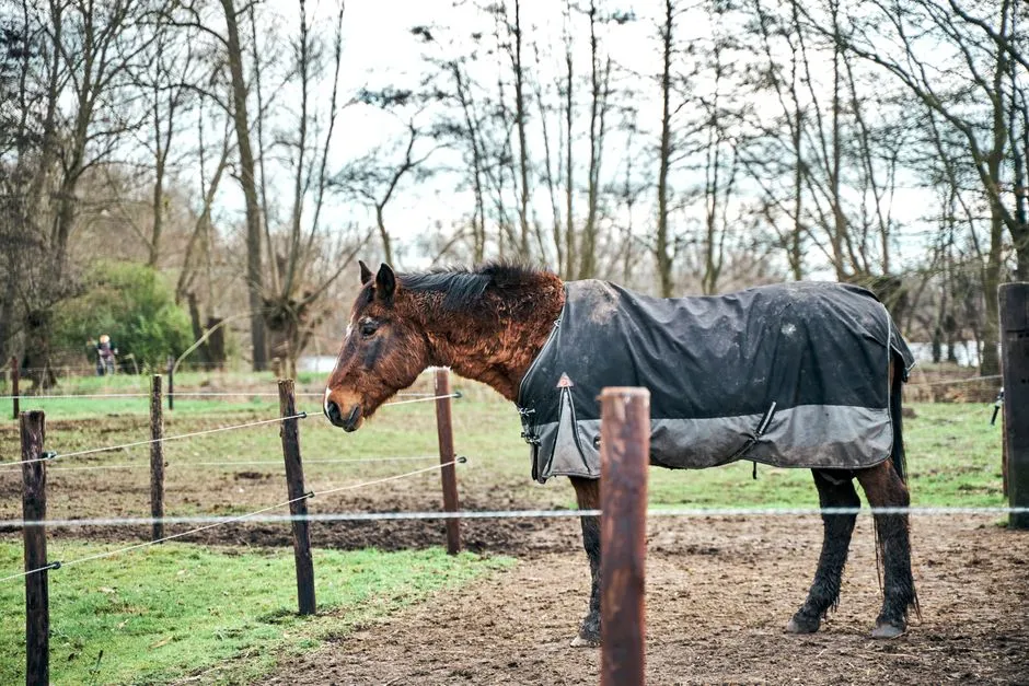 5. Struggling to Stay Warm, Cool, or Comfortable (Image Credits: Pexels)