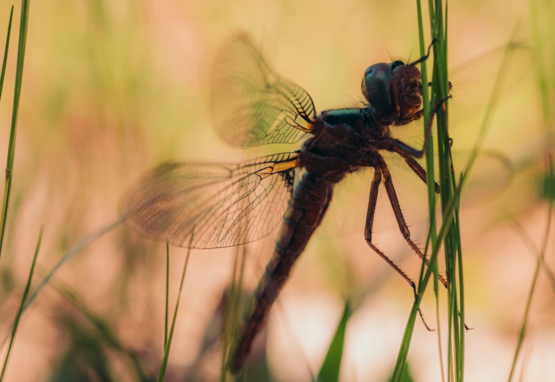 Their Diet Is Surprisingly Specific (Image Credits: Unsplash)