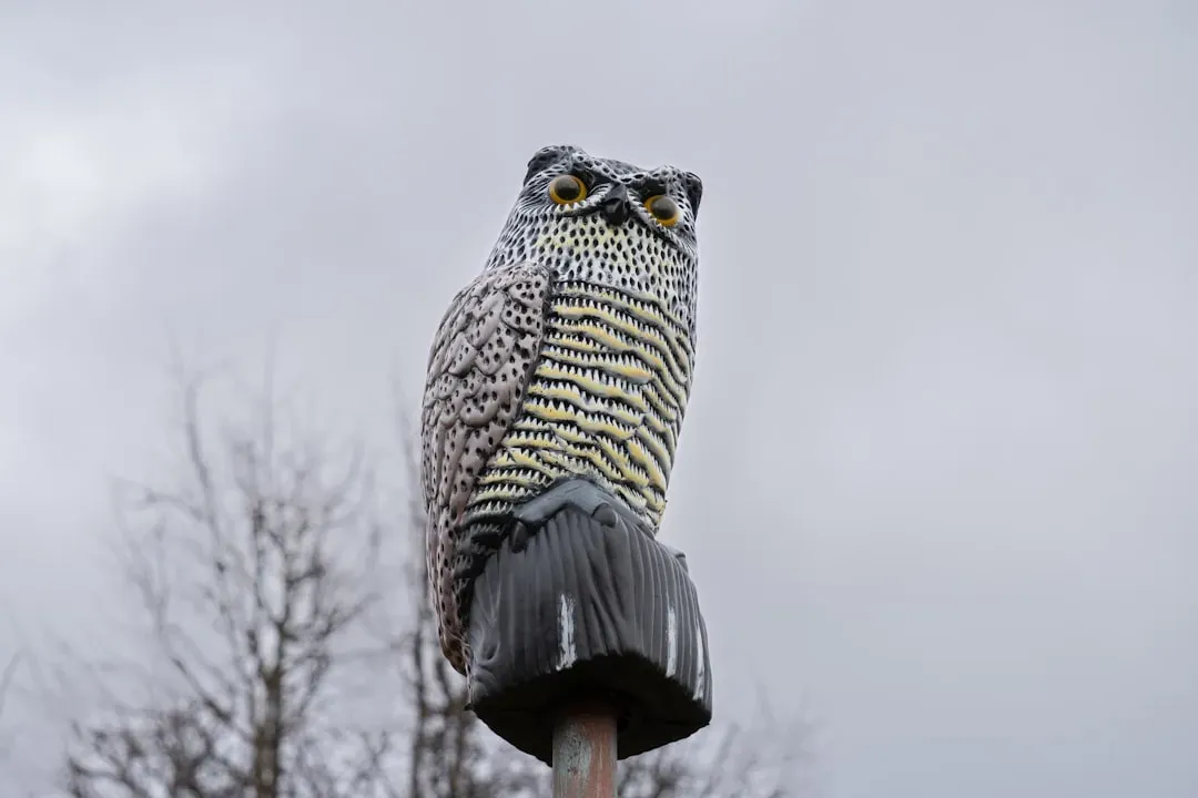 #3 – Static Predator Decoys Left in One Spot (Image Credits: Unsplash)