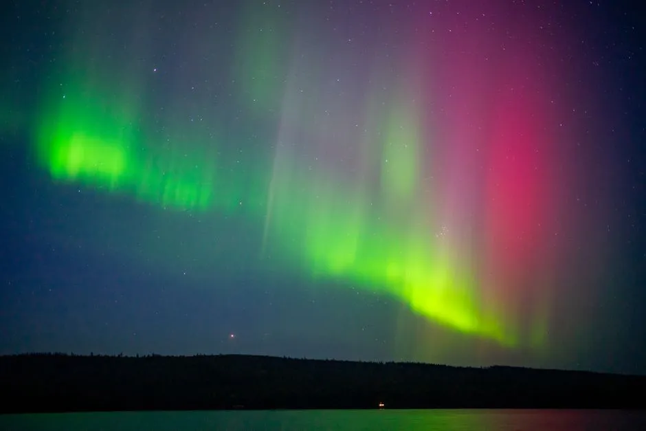 Polarized Light Detection: Navigating with Light Waves (Image Credits: Pexels)