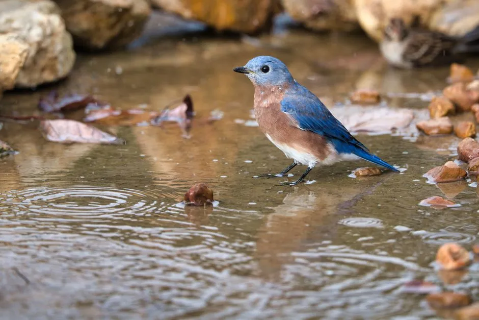 Availability of Clean Water Sources (Image Credits: Pexels)