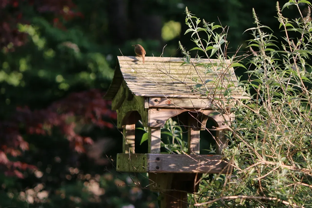 4. Create Shelter With What You Already Have (Image Credits: Pixabay)
