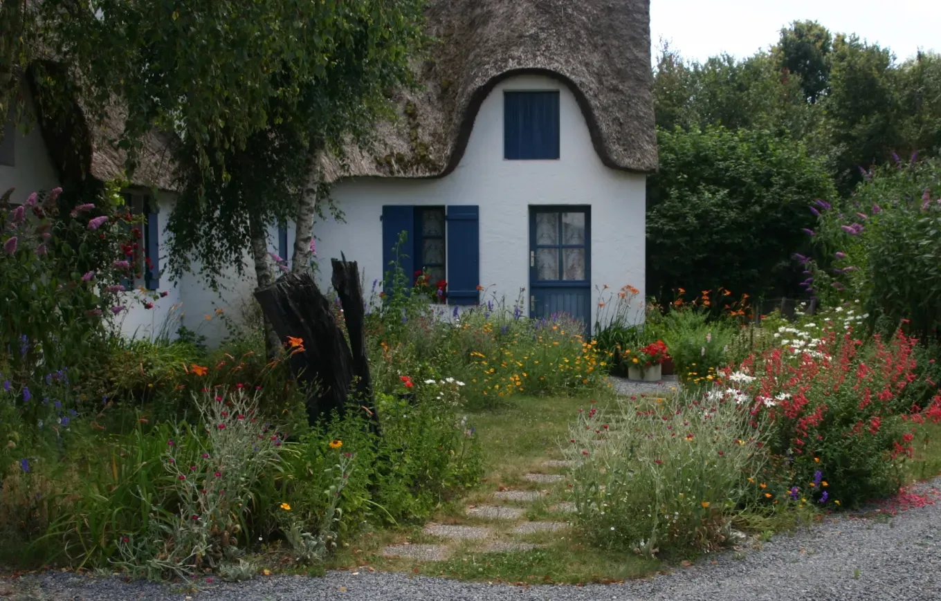 5. Reduce Your Lawn and Let It Breathe (Image Credits: Wikimedia)
