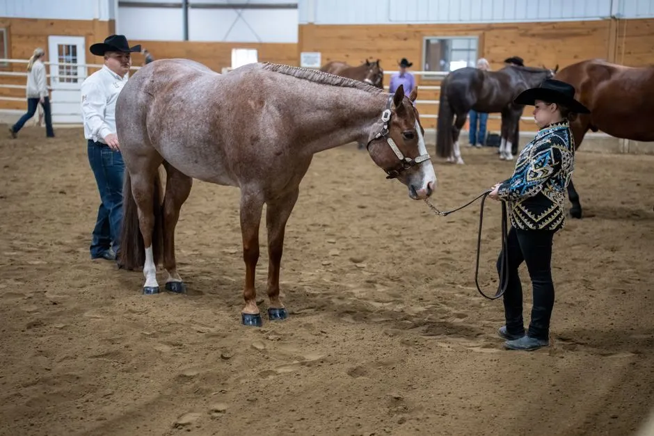 #10 - Quarter Horse Barrel & Roping Pros (Image Credits: Pexels)