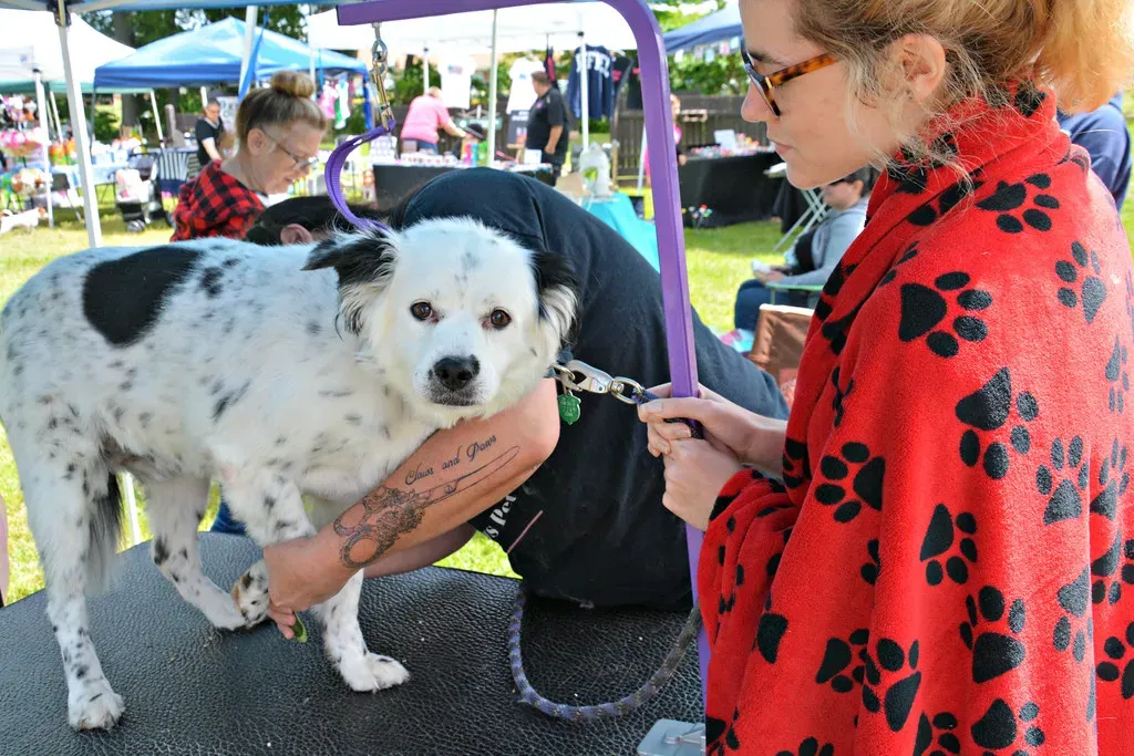 11. Neglecting Grooming and Nail Care (Barbara Bresnahan, Flickr, CC BY-SA 2.0)