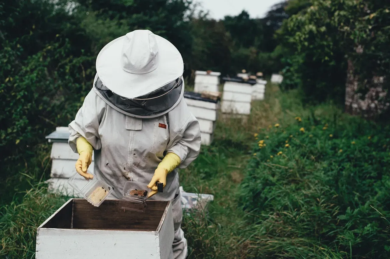Safety Precautions When Using Diatomaceous Earth (Image Credits: Pixabay)