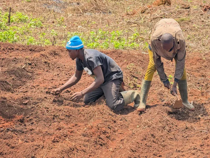 #3: Get the Soil Preparation Right (Image Credits: Pexels)