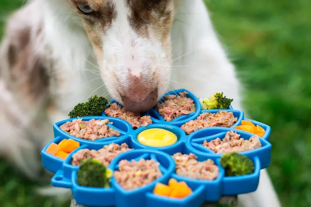 Quality Nutrition Fuels a Longer Life (Image Credits: Unsplash)