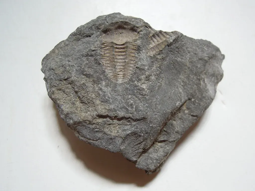 The Rock Record That Geologists Still Study (Juhele_CZ, Flickr, CC BY-SA 2.0)