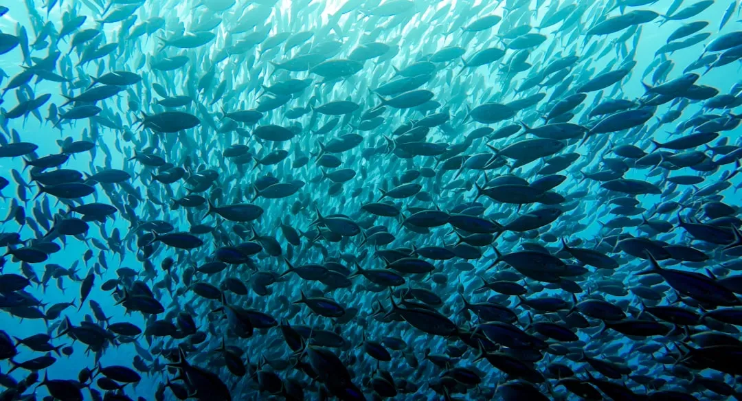A Shrinking Ocean: What the Research Actually Found (Image Credits: Unsplash)