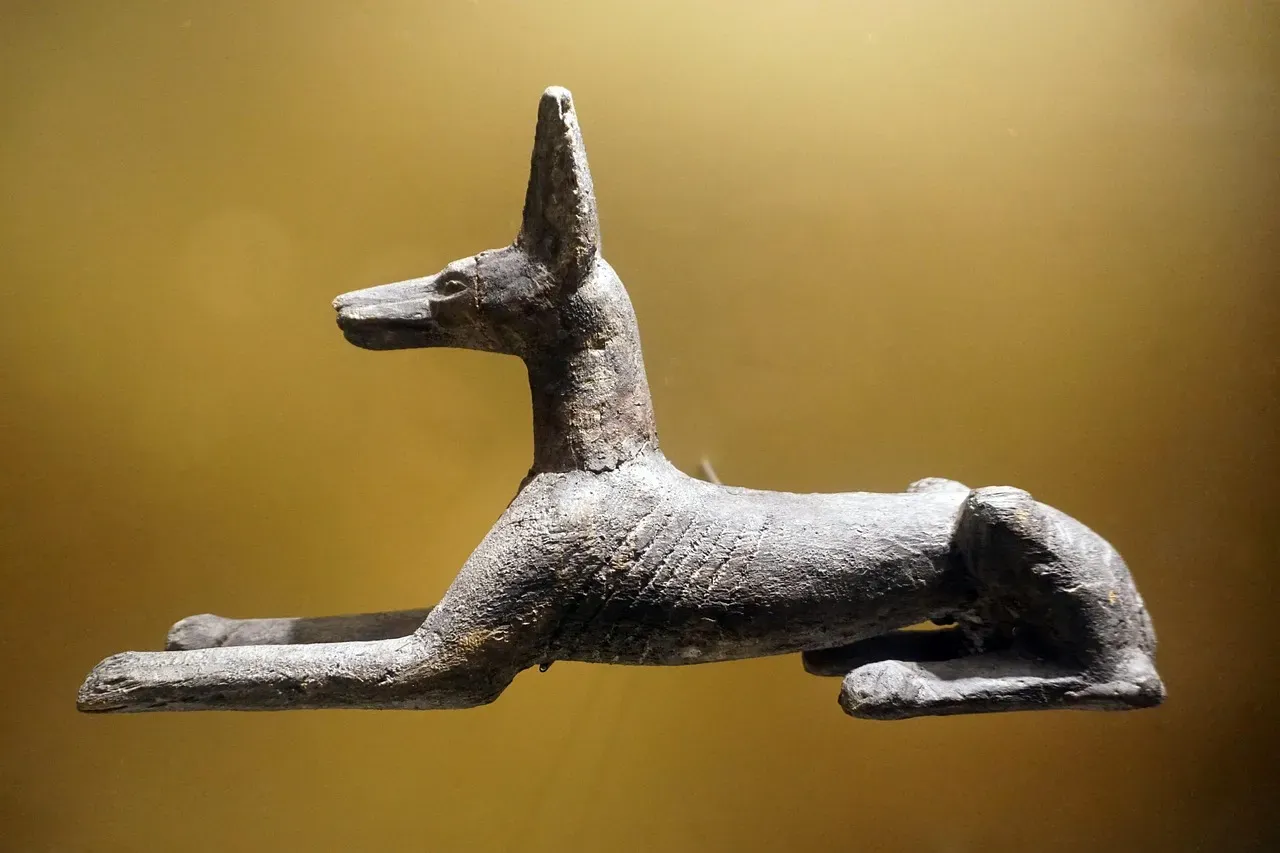 Aquarius: The Creative Solitude of Anubis (Image Credits: Pixabay)