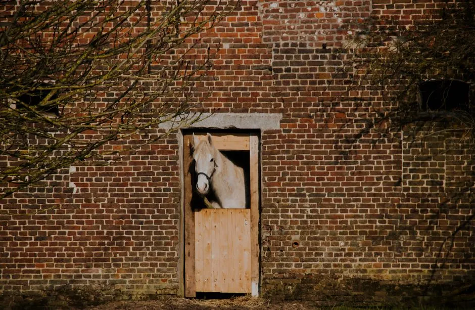#10 - The Body Block at Doorways, Gates, and Trailer Ramps (Image Credits: Pexels)