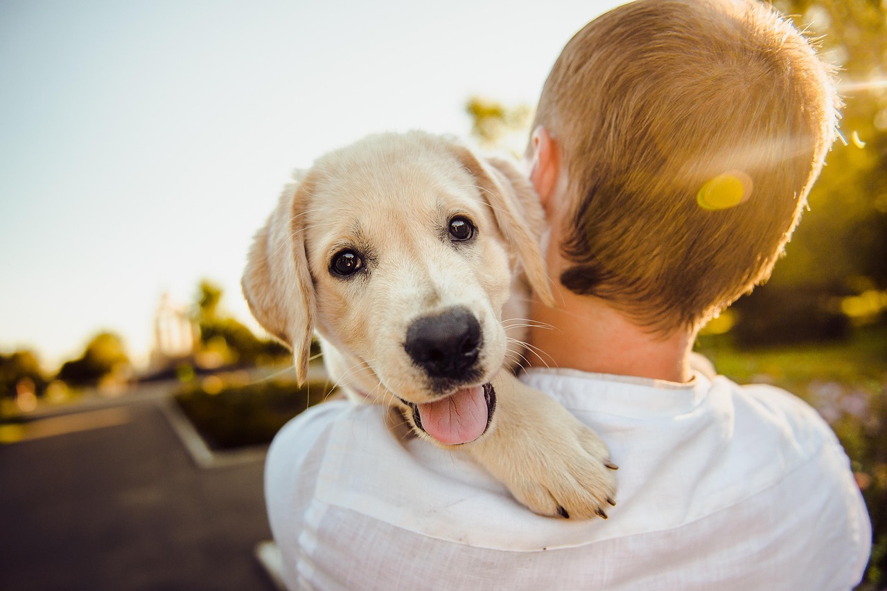The Human Connection: When Pet Ownership Reveals Our Empathy (Image Credits: Pixabay)