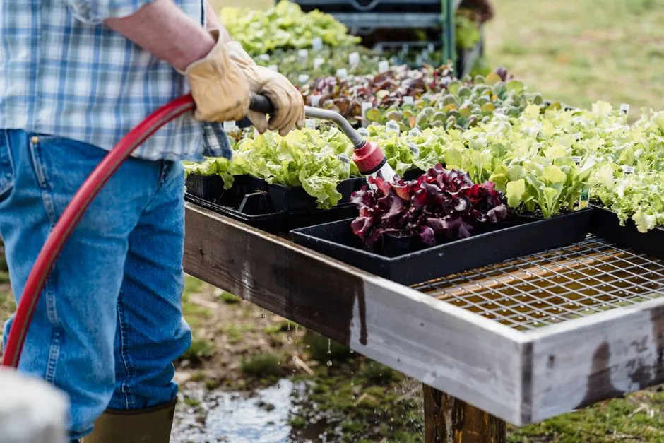 10. Growing Fewer Varieties, But Growing Them on Purpose (Image Credits: Pexels)