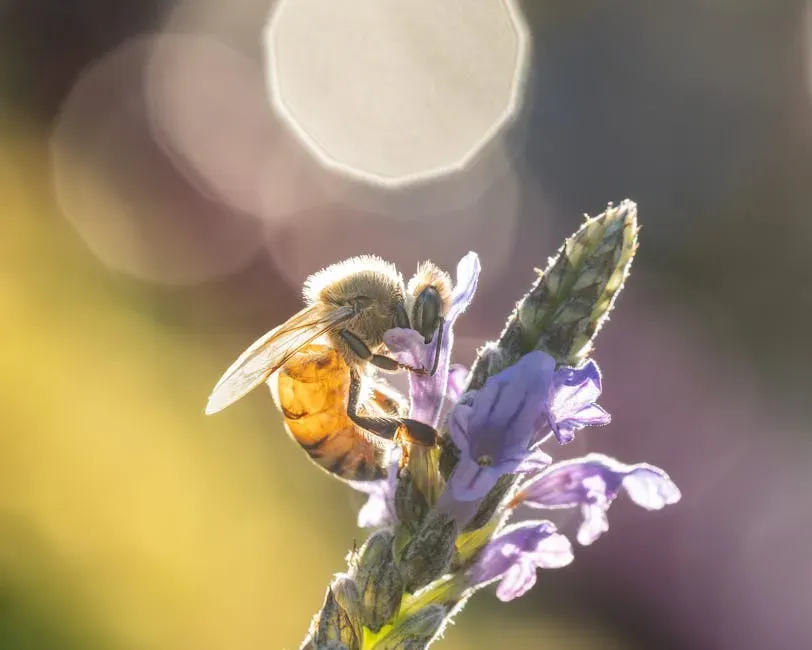 Honeybees: Reading the Sun and Sensing Electric Fields in Flowers (Image Credits: Pexels)