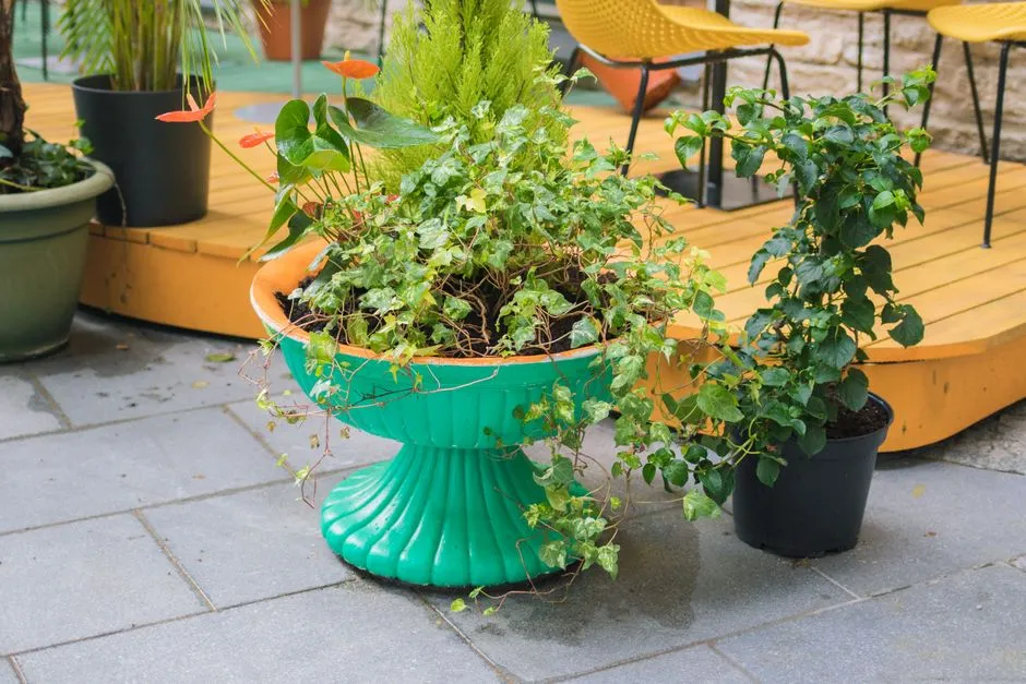 #26 - Overfilled Mix Pots: The Visual Buffet That's Nutritionally Empty (Image Credits: Pexels)