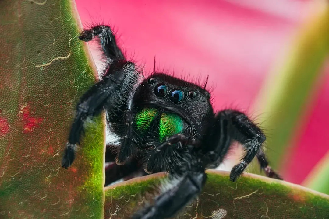 Venom with a Serious Bite (Image Credits: Unsplash)