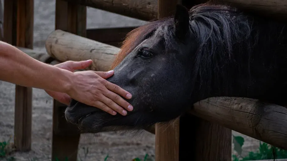 #4. Empathy Runs Deeper in People Who Extend Emotional Attention to Other Species (Image Credits: Pexels)
