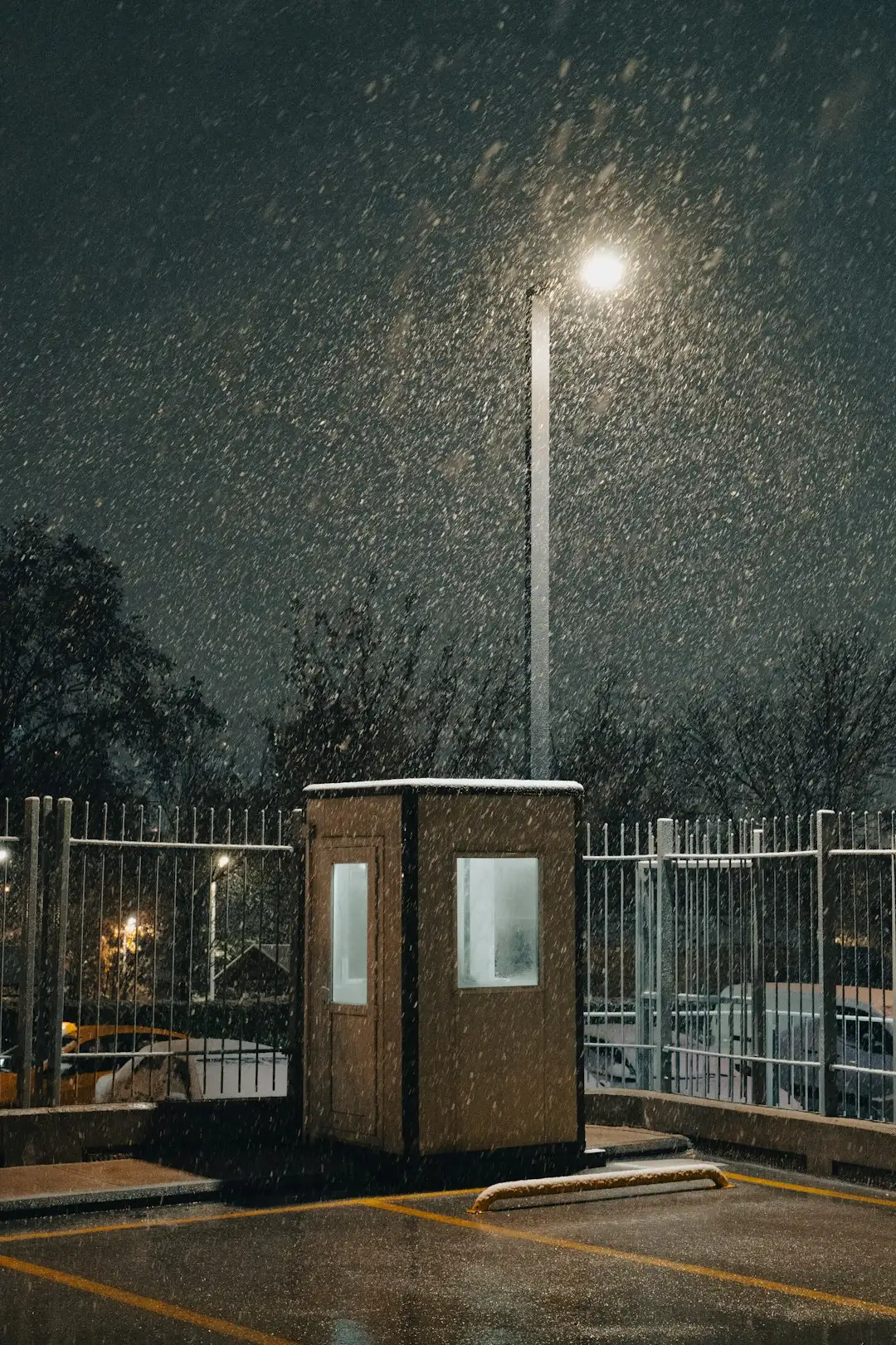 #4 Capricorn: The Silent Night Watcher (Image Credits: Unsplash)
