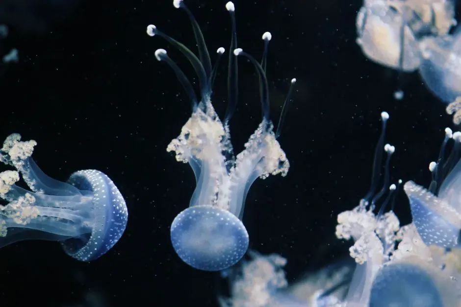 Operating Without a Brain or Heart (Image Credits: Pexels)