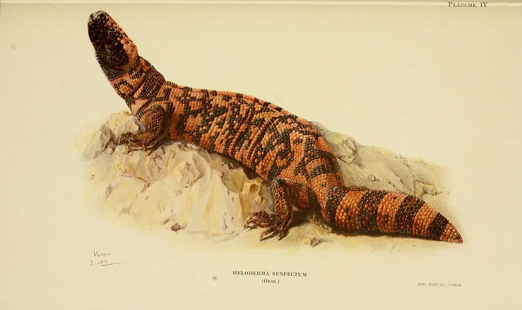Their Venom Inspired Life-Saving Diabetes Drugs (Image Credits: Flickr)
