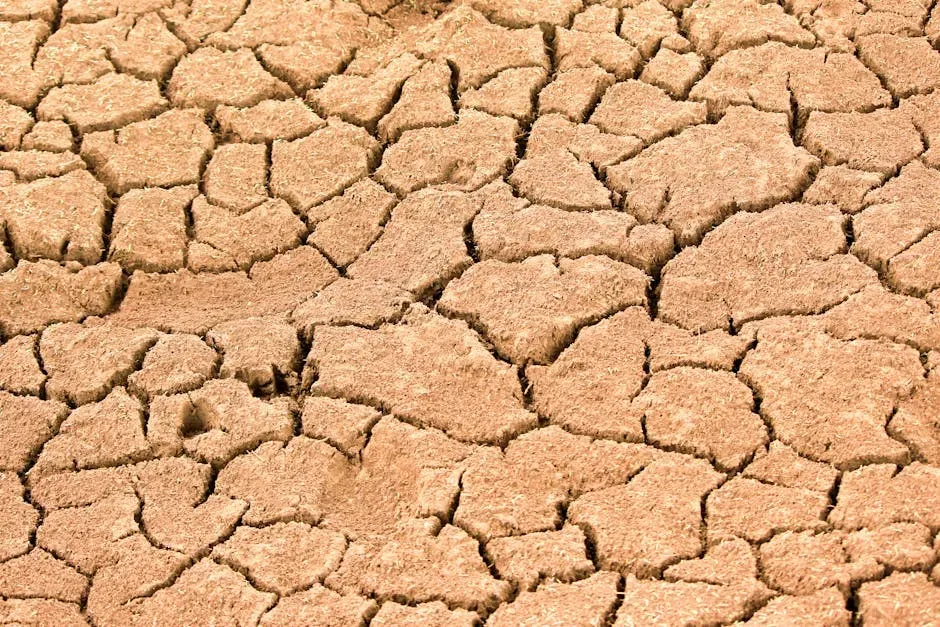 Hotter, Drier, and Faster: The Climate Pressure Cooker (Image Credits: Pexels)