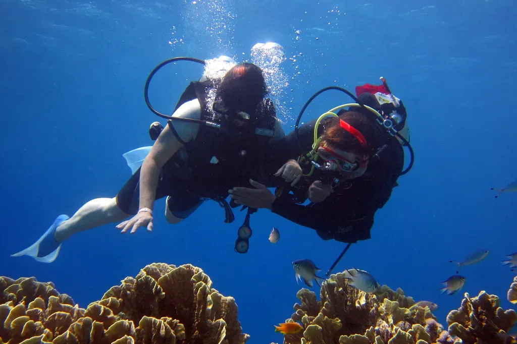 Pisces: Scuba Diving (Image Credits: Flickr)