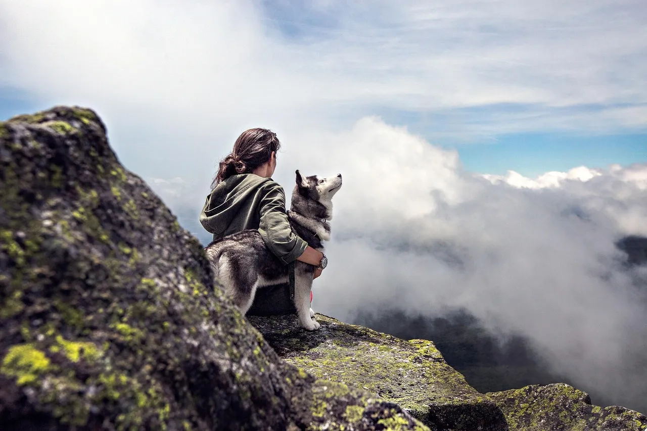 Sagittarius: The Adventurous Dog Companion (Image Credits: Pixabay)