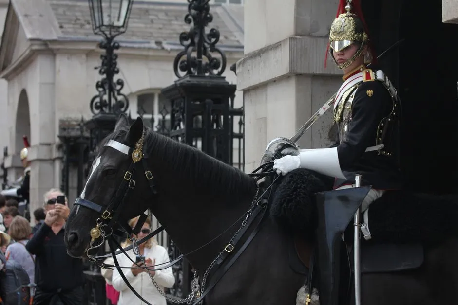 #7 - Standing Guard the Moment You're Vulnerable (Image Credits: Pexels)