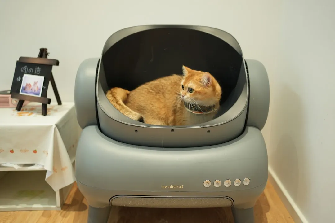 #2 Litter Boxes That Work For You, Not For Them (Image Credits: Unsplash)