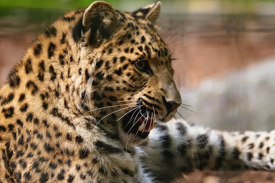 15. The Leopard: The Silent, Unforgiving Boundary Keeper (Image Credits: Pexels)
