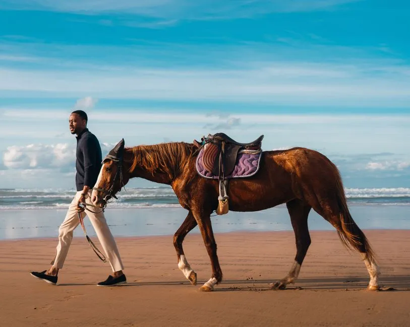#18 - Micro-Changes Under Saddle (Even Just at the Walk) (Image Credits: Pexels)