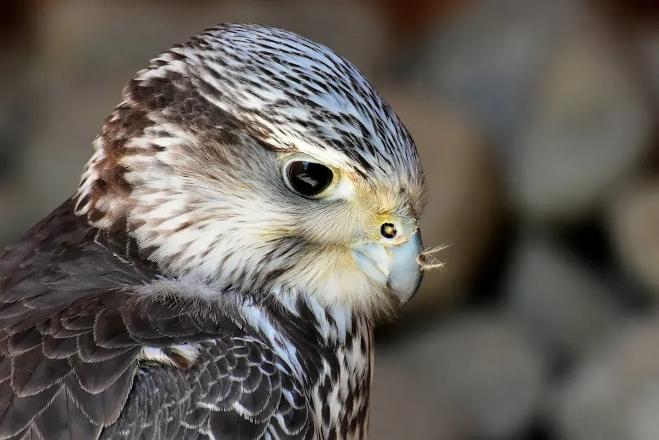 A Predator Under Pressure: Climate Change and the Future of the Ghost (Image Credits: Pexels)