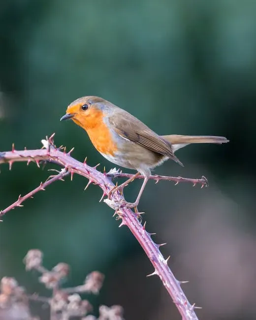 A Garden Worth Protecting (Image Credits: Pexels)