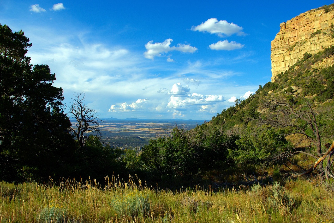 Mesa Verde National Park - Ancient Cliff Cities of the Southwest (Image Credits: Pixabay)