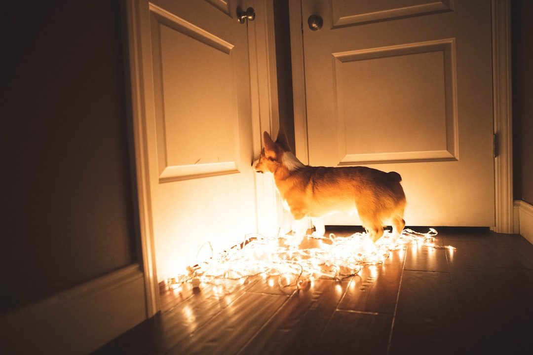 Glow Sticks and Novelty Items (Image Credits: Unsplash)