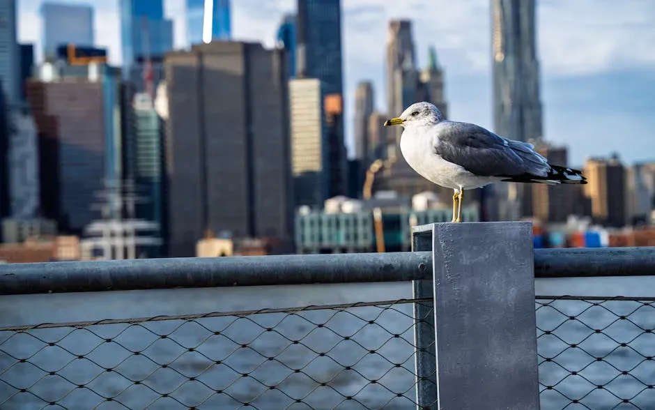 1. New York City, New York - The Concrete Jungle That Actually Has a Jungle (Image Credits: Pexels)