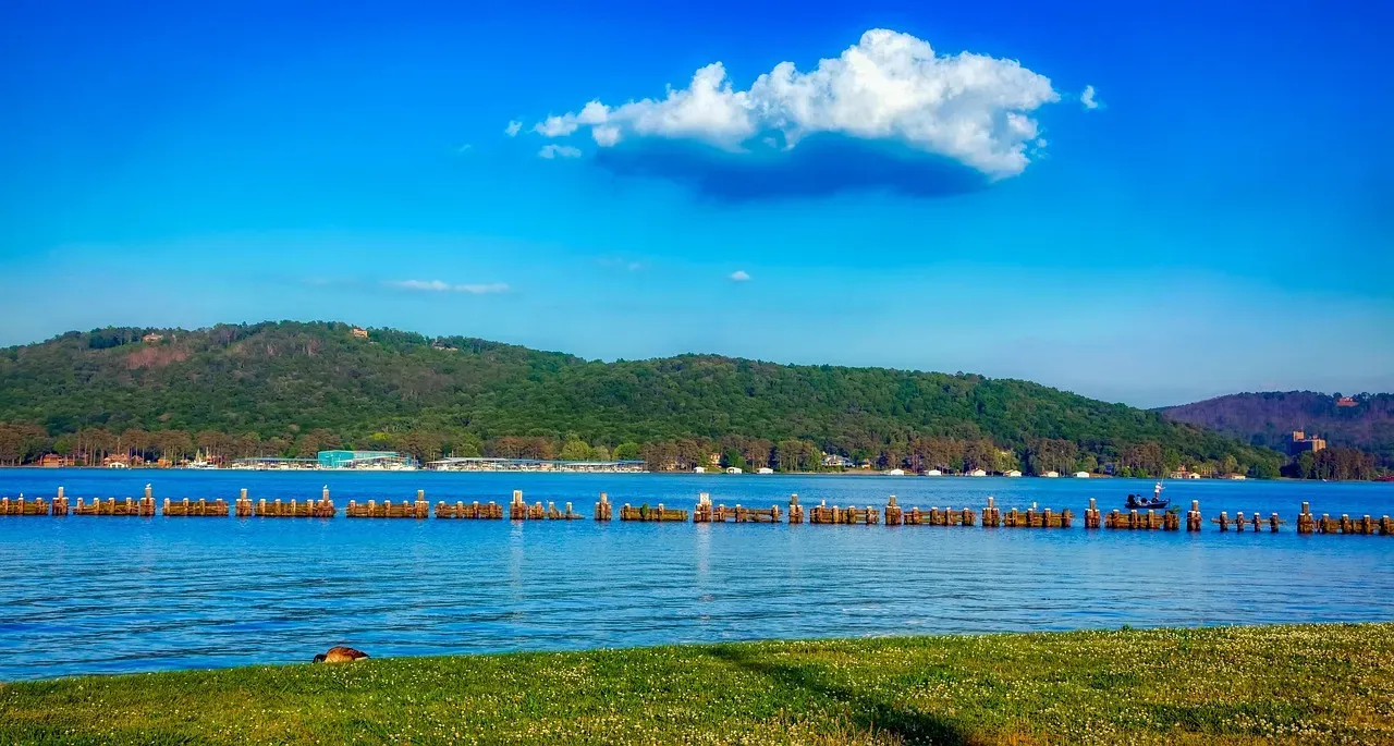 Lake Guntersville, Alabama: The Southeast's Ultimate Grass Bed Giant (Image Credits: Pixabay)