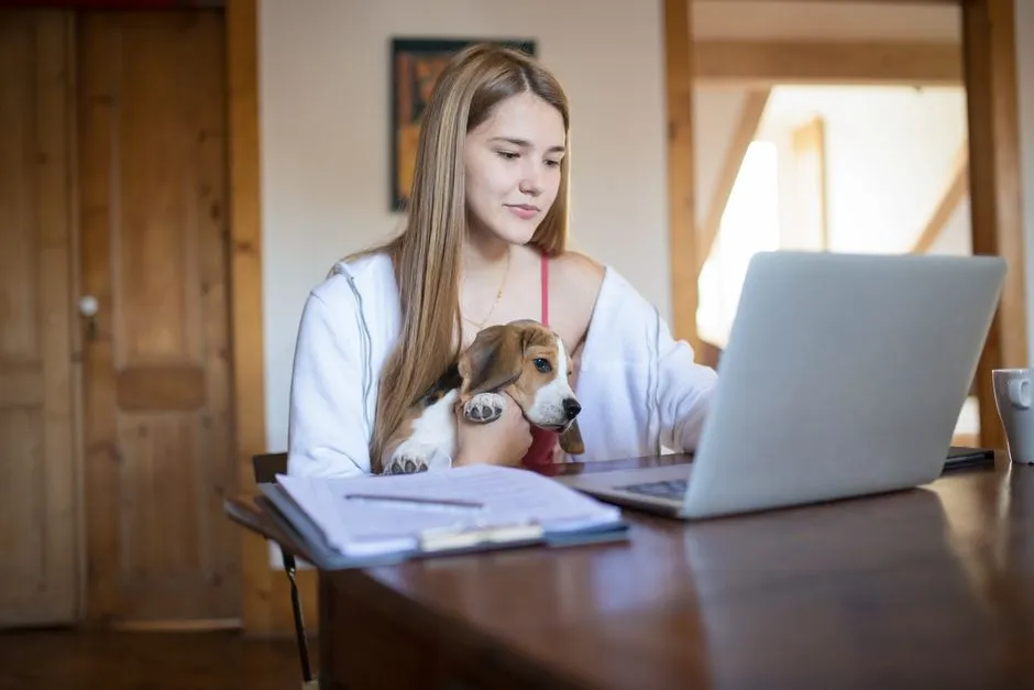 #6 - They Don't Fight You for Attention During the Workday (Image Credits: Pexels)