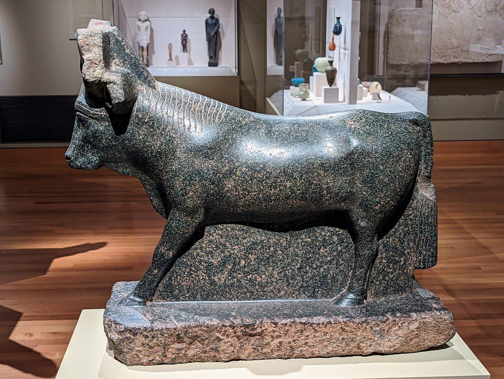 Bulls of Divine Power: Apis and Sacred Cattle (Image Credits: Flickr)