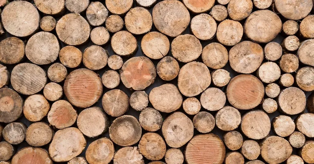 #4: Build a Log Pile (Image Credits: Rawpixel)