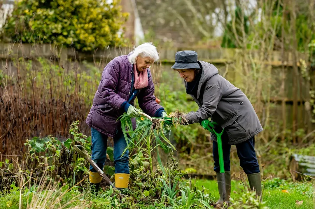 Community Gardens Are Fighting Loneliness (Image Credits: Unsplash)