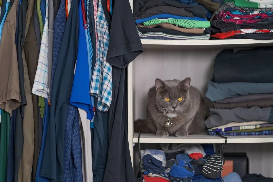 #1 - Sleeping In Odd, Hidden Places (Image Credits: Pexels)