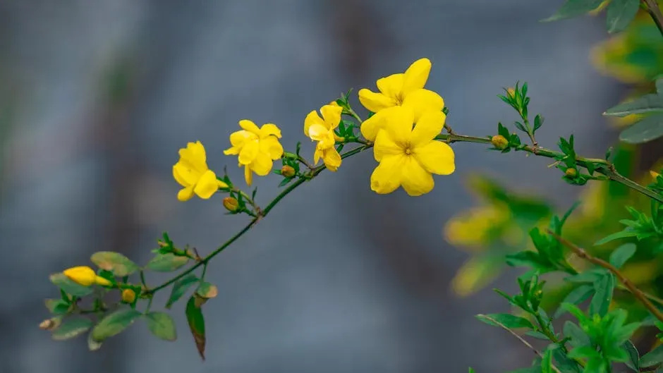 Gemini (May 21 – June 20): Winter Jasmine (Image Credits: Pexels)
