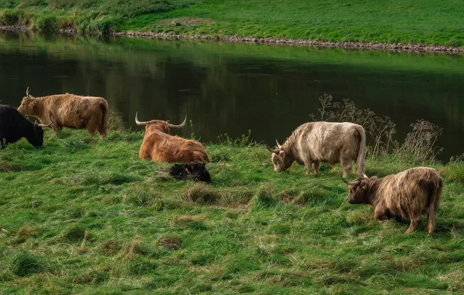 Animals as Unexpected Climate Allies (Image Credits: Pexels)