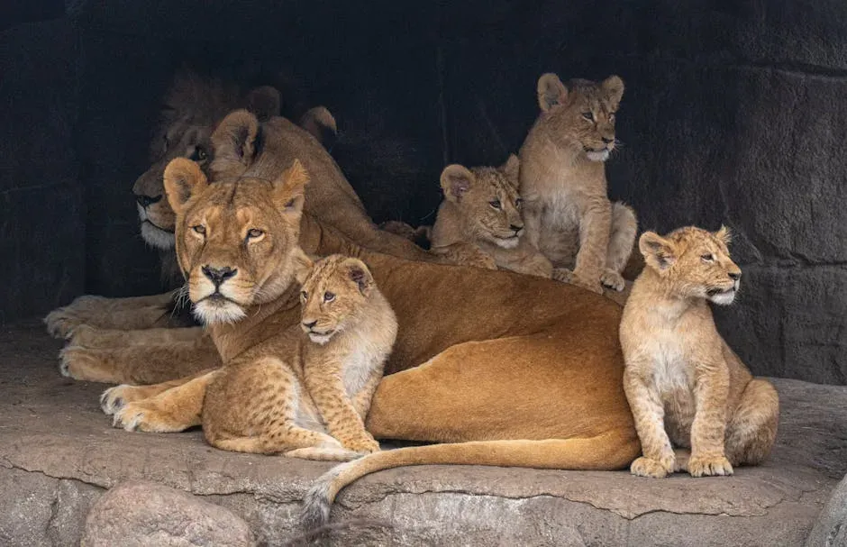 Cubs Look Nothing Like Their Parents (Image Credits: Pexels)