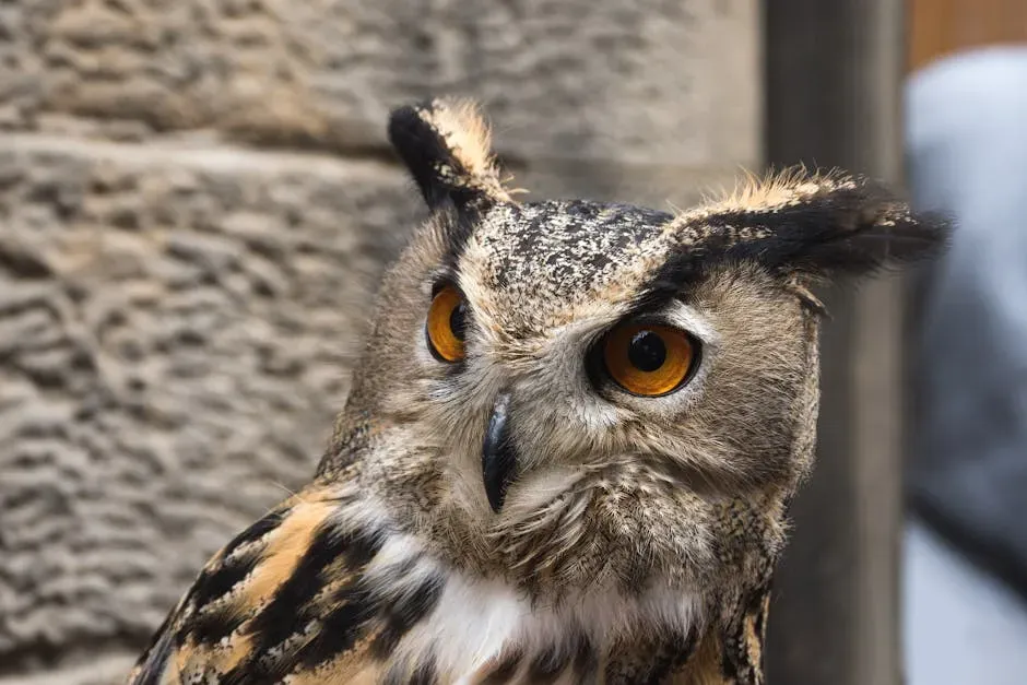 Napoleon the Owl and Ingo the Belgian Shepherd (Image Credits: Pexels)