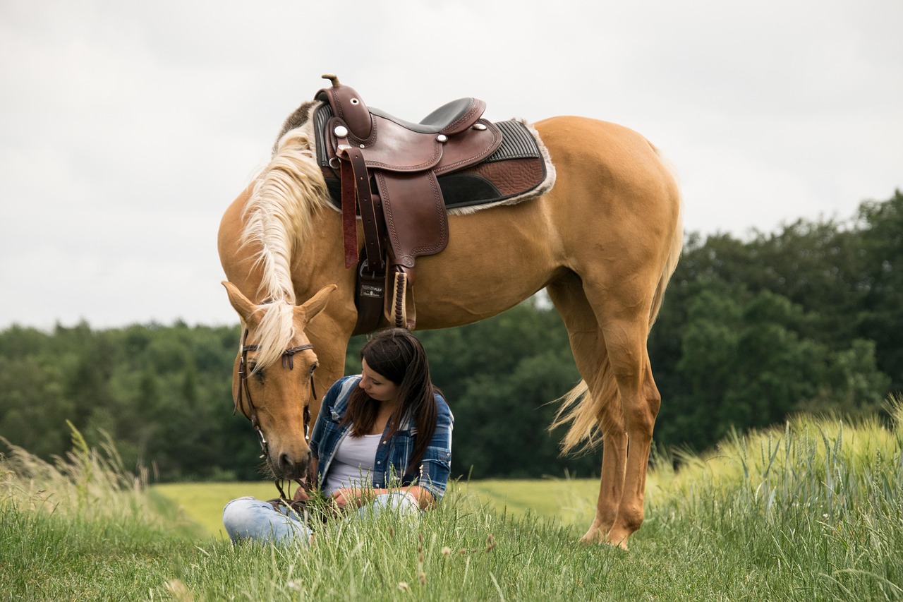 #3: They Greet You With Soft Sounds (Image Credits: Pixabay)